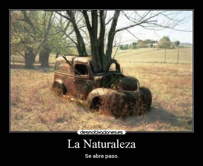 La Naturaleza - Se abre paso.