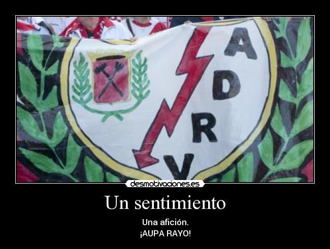 Un sentimiento - Una afición.
¡AUPA RAYO!
