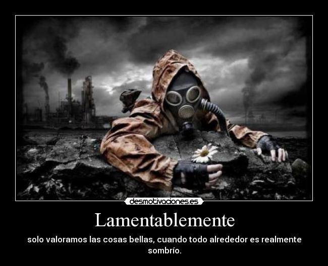 Lamentablemente - solo valoramos las cosas bellas, cuando todo alrededor es realmente sombrío.