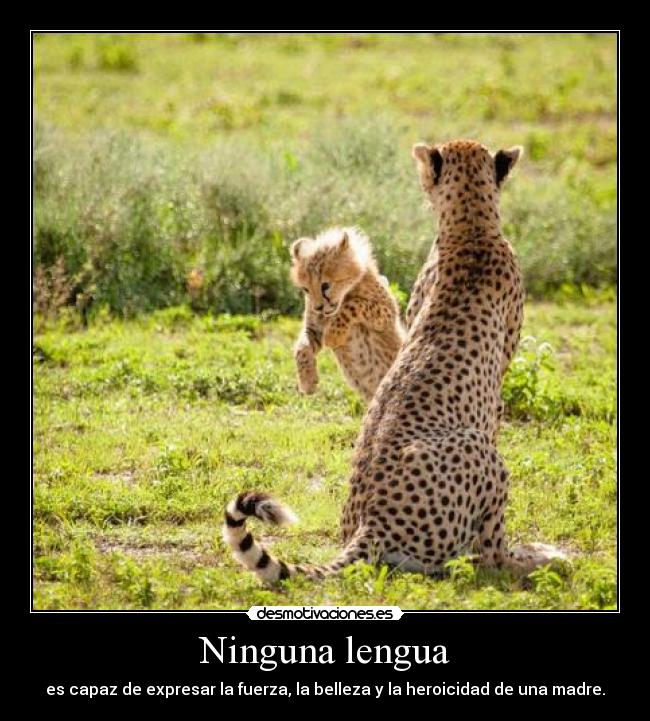 Ninguna lengua - es capaz de expresar la fuerza, la belleza y la heroicidad de una madre.
