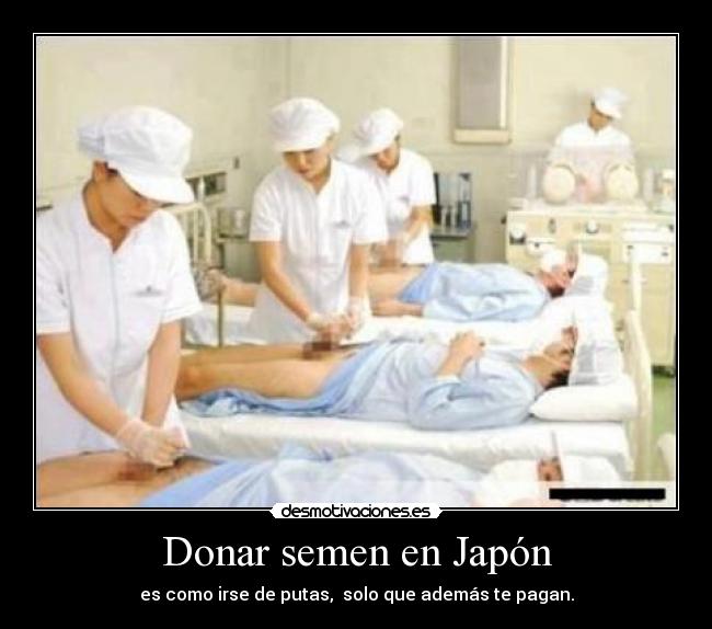 Donar semen en Japón - es como irse de putas, solo que además te pagan.