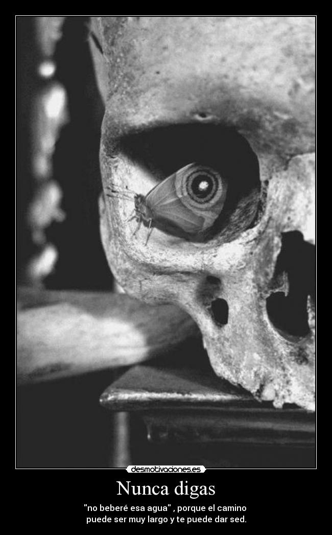 Nunca digas - no beberé esa agua , porque el camino
puede ser muy largo y te puede dar sed.