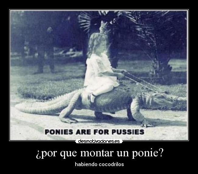 ¿por que montar un ponie? -