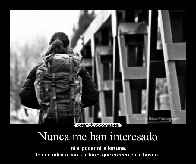 Nunca me han interesado -