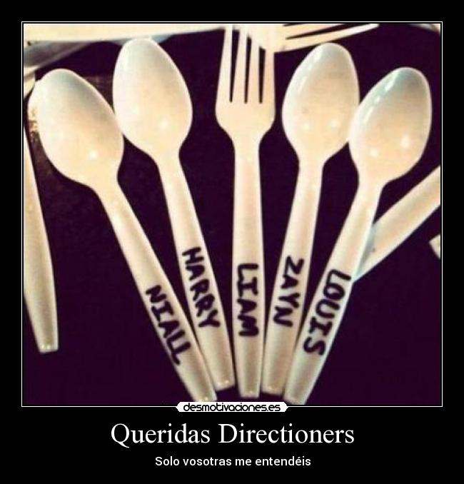 Queridas Directioners - Solo vosotras me entendéis