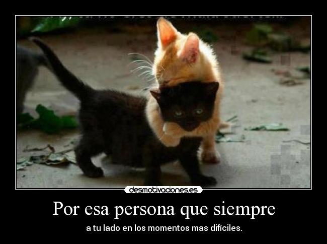 Por esa persona que siempre -