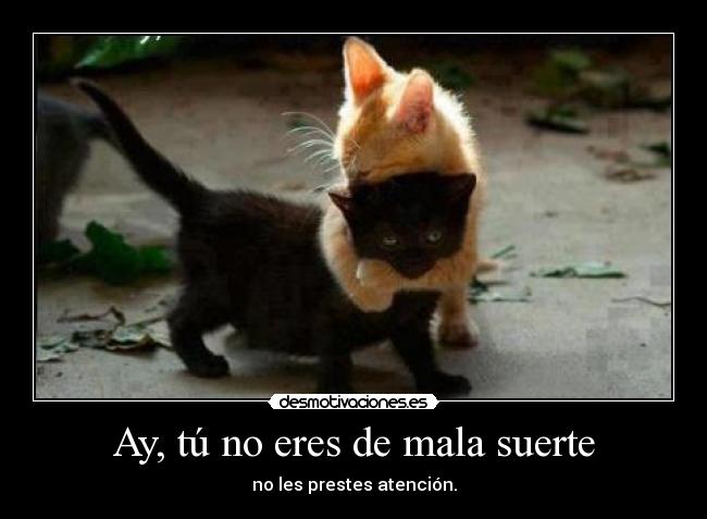 Ay, tú no eres de mala suerte -