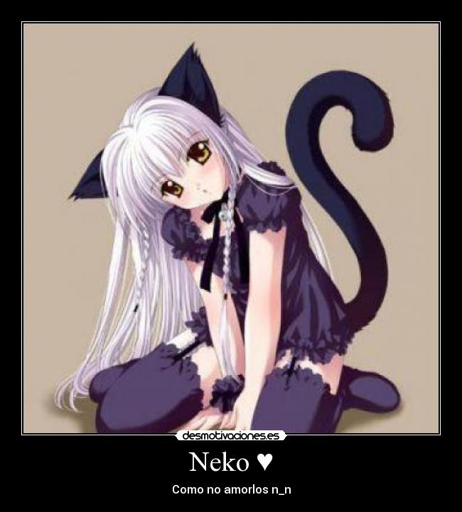 Neko ♥ - Como no amorlos n_n