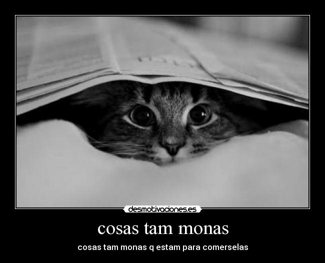 carteles cosas desmotivaciones