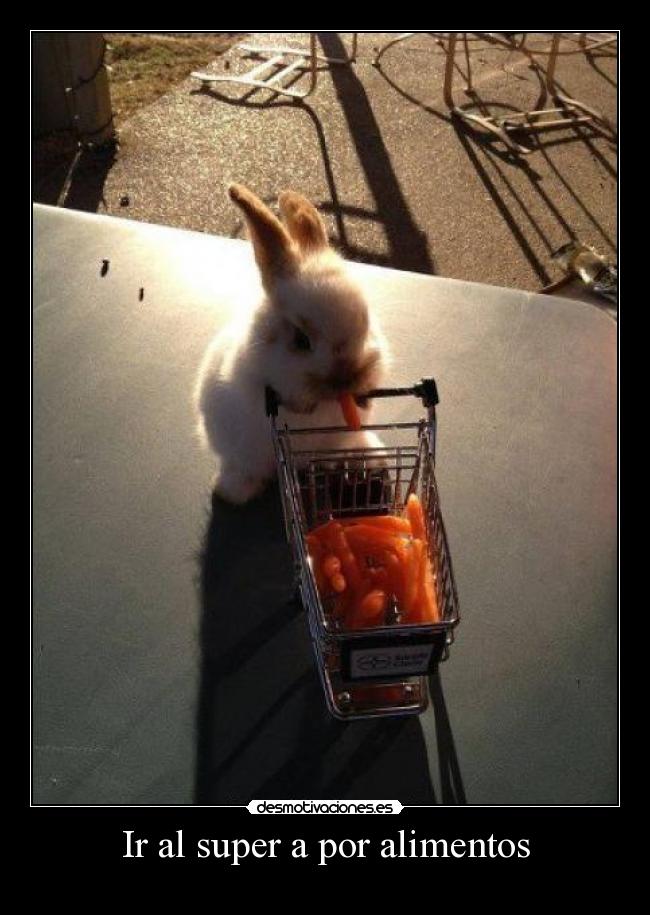 Ir al super a por alimentos -
