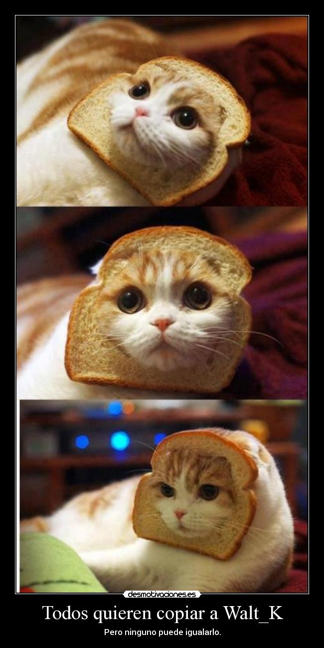 carteles sucutrule unicorniosfelices desmotivaciones