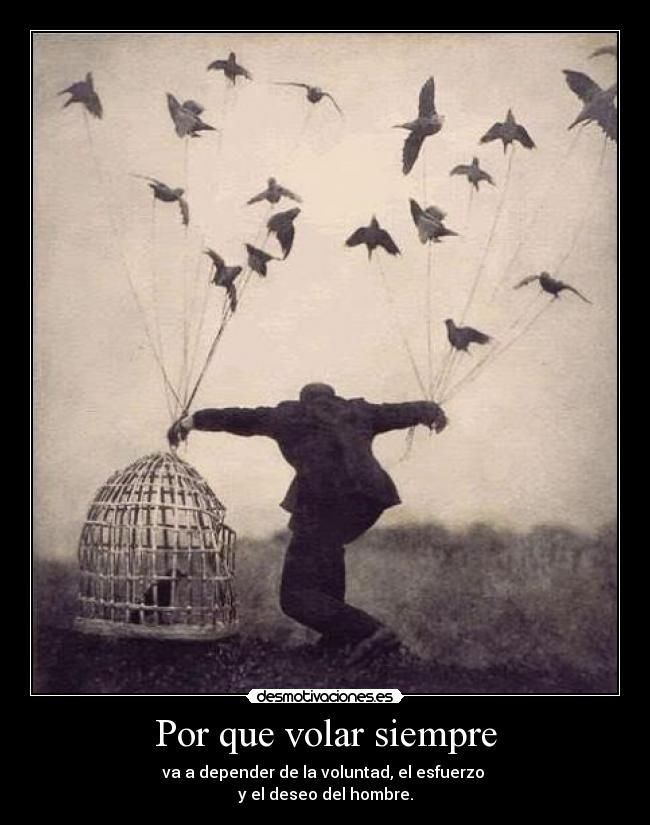 Por que volar siempre - va a depender de la voluntad, el esfuerzo
y el deseo del hombre.