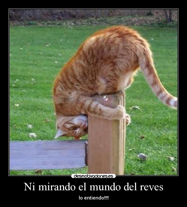 carteles mundo mundo desmotivaciones