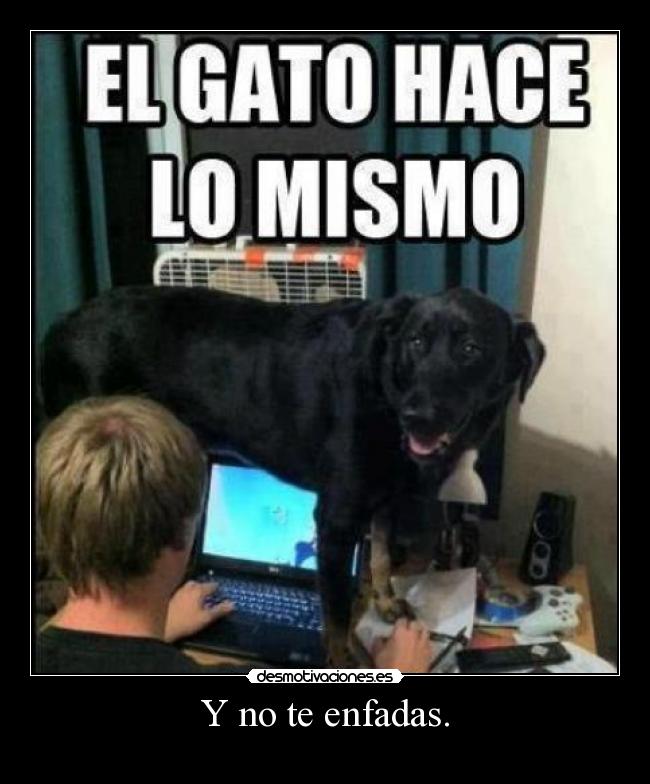 Y no te enfadas. - 