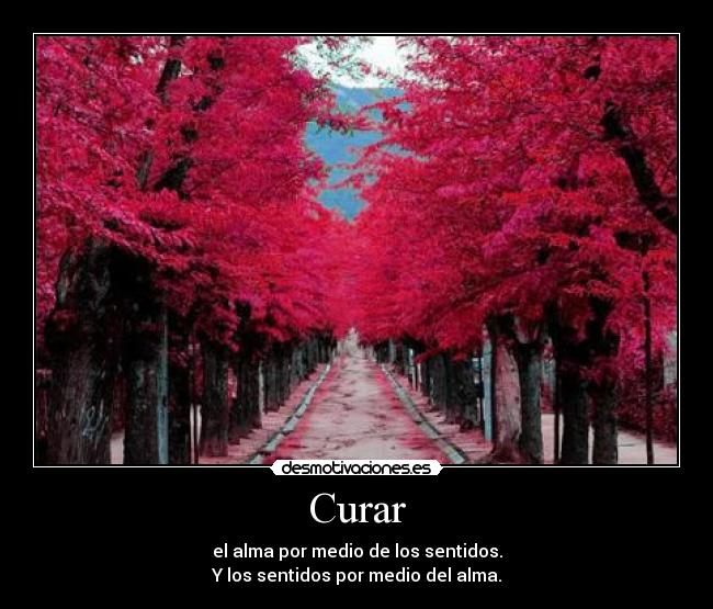 Curar - el alma por medio de los sentidos.
Y los sentidos por medio del alma.