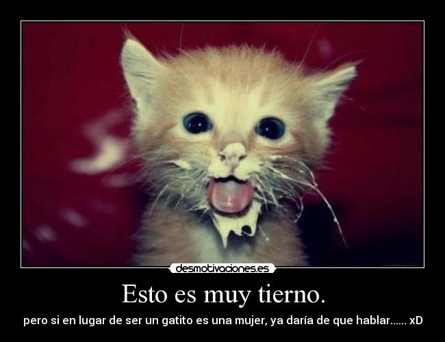 Esto es muy tierno. - pero si en lugar de ser un gatito es una mujer, ya daría de que hablar...... xD