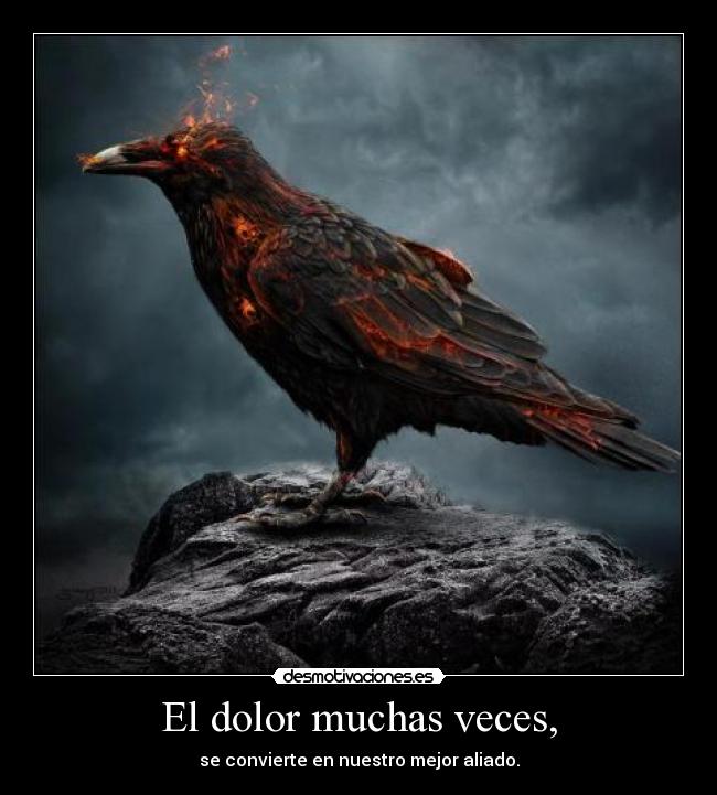 El dolor muchas veces, - se convierte en nuestro mejor aliado.