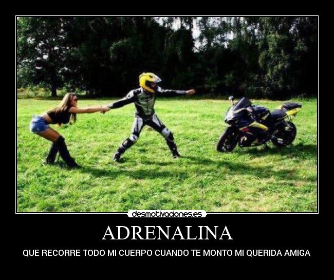 ADRENALINA - QUE RECORRE TODO MI CUERPO CUANDO TE MONTO MI QUERIDA AMIGA
╭∩╮﹙︶︵︶﹚╭∩╮