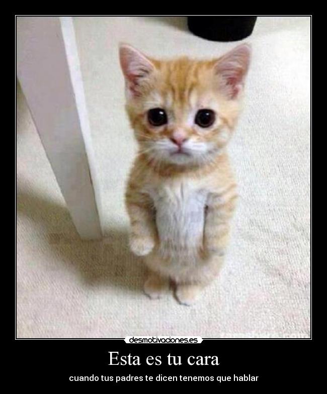 Esta es tu cara - cuando tus padres te dicen tenemos que hablar