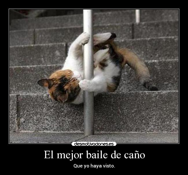 Resultado de imagen para baile del caño humor