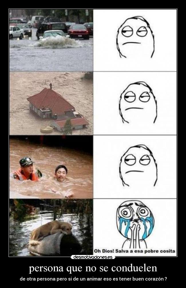 persona que no se conduelen -