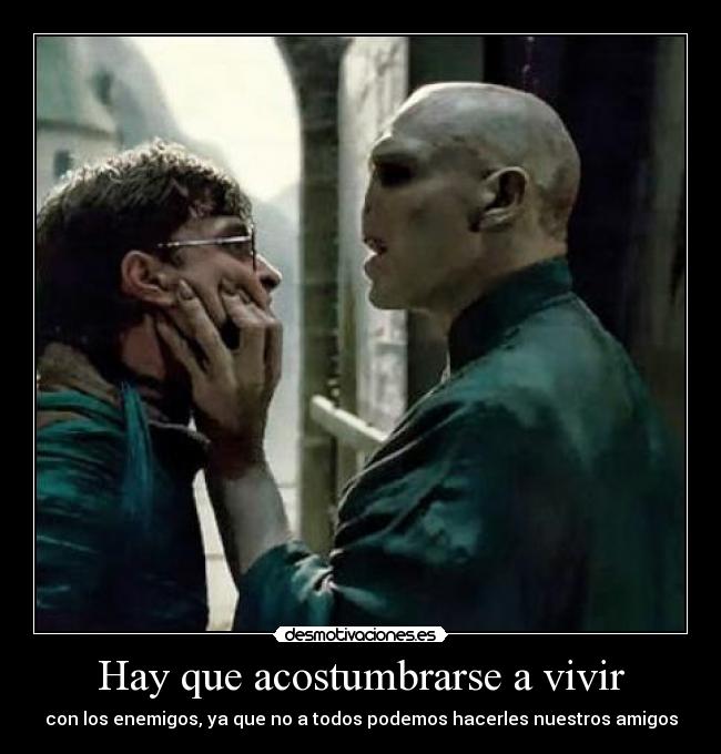 Hay que acostumbrarse a vivir -