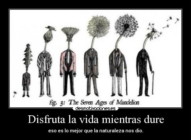 Disfruta la vida mientras dure -
