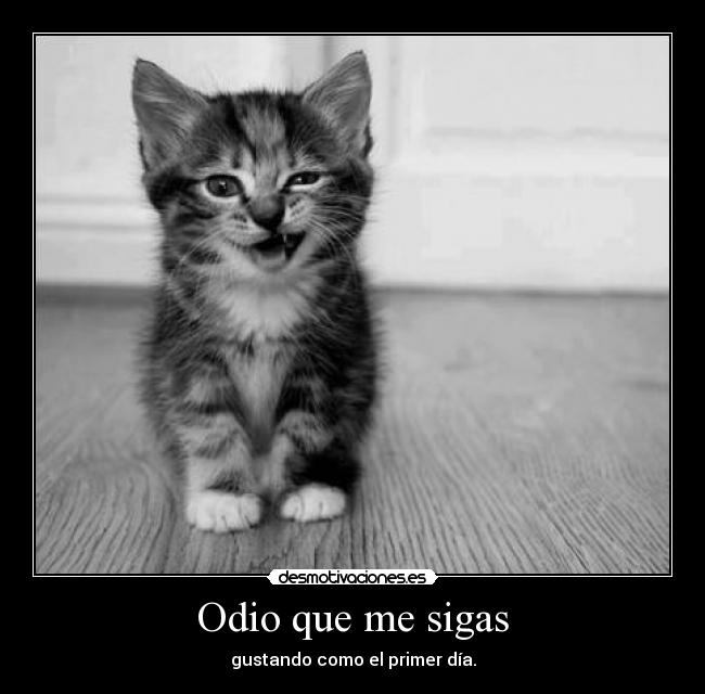 carteles odio desmotivaciones