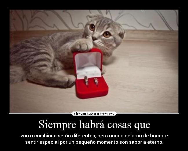 Siempre habrá cosas que - van a cambiar o serán diferentes, pero nunca dejaran de hacerte
sentir especial por un pequeño momento son sabor a eterno.