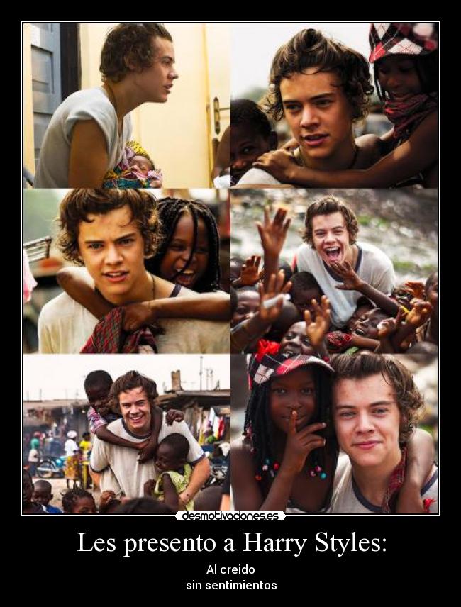 Les presento a Harry Styles: -