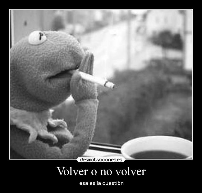 Volver o no volver - 