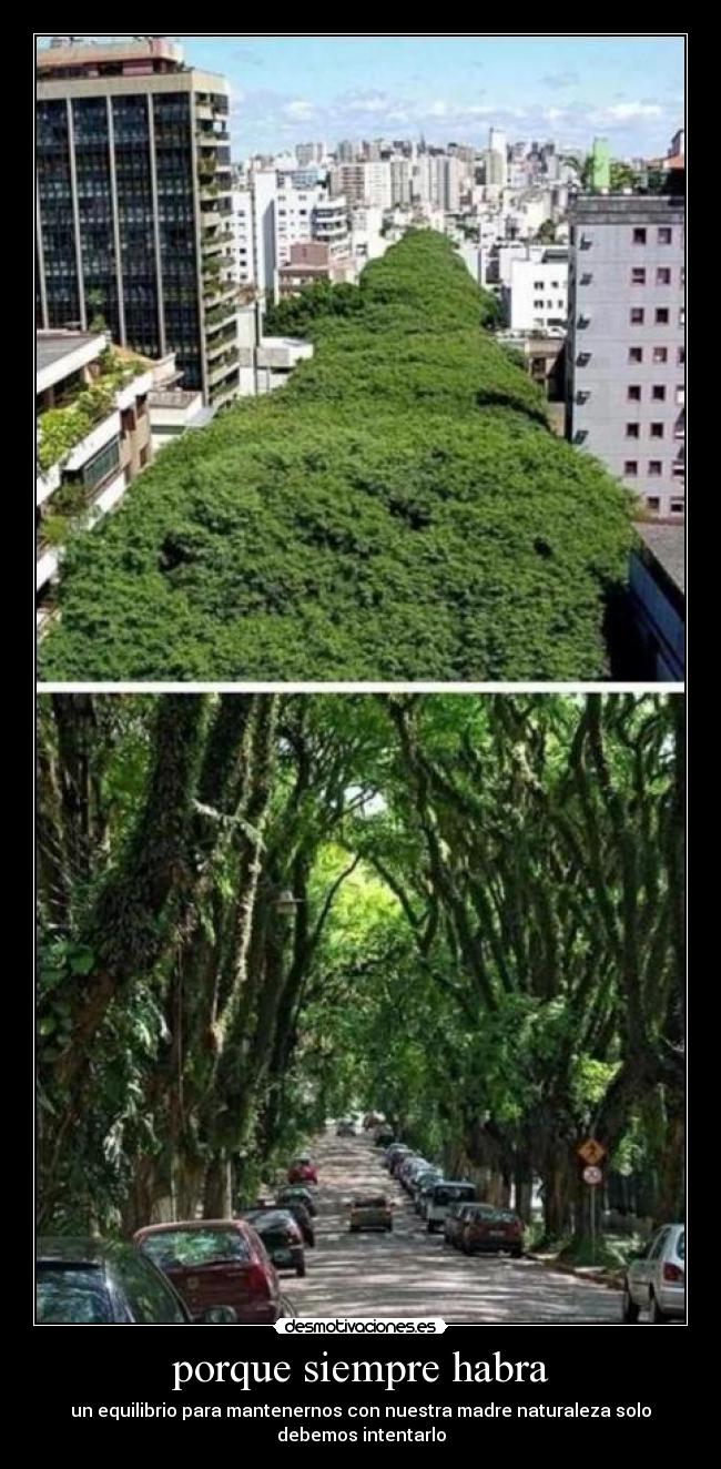 porque siempre habra -