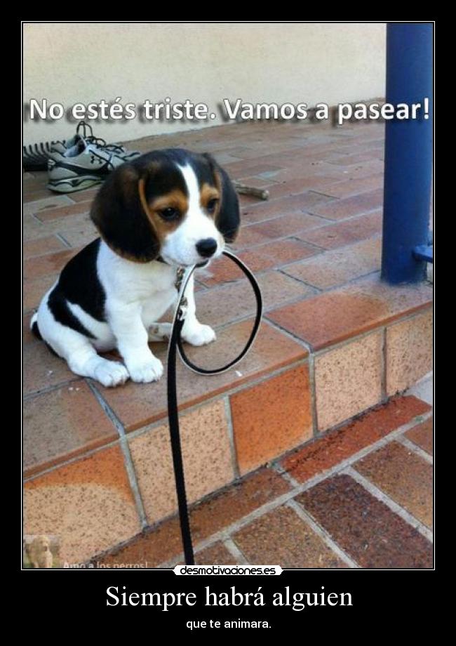 Siempre habrá alguien - que te animara.