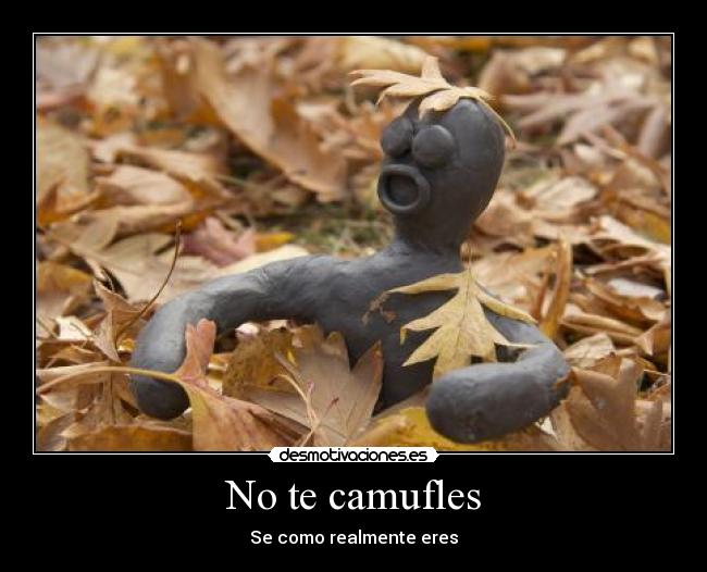 No te camufles - Se como realmente eres