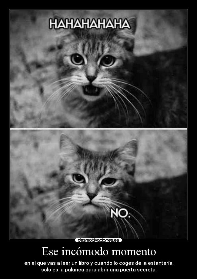 Ese incómodo momento - en el que vas a leer un libro y cuando lo coges de la estantería,
solo es la palanca para abrir una puerta secreta.