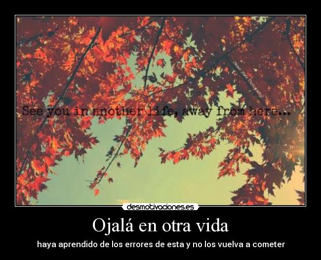Ojalá en otra vida - haya aprendido de los errores de esta y no los vuelva a cometer