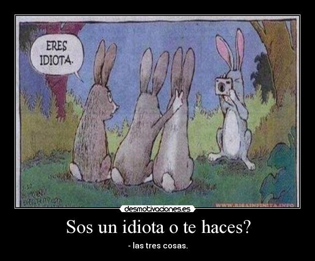 Sos un idiota o te haces? - - las tres cosas.
