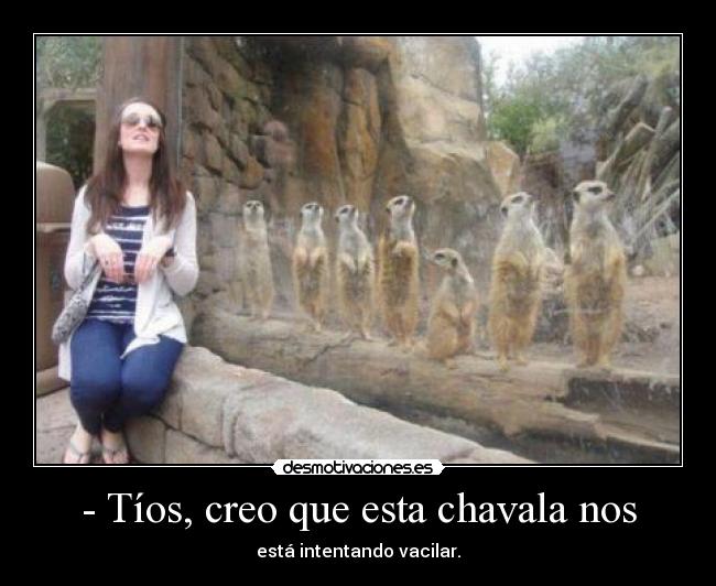 carteles amo mire lampard desmotivaciones