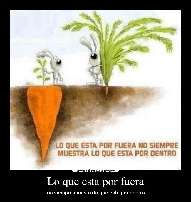 Lo que esta por fuera - no siempre muestra lo que esta por dentro