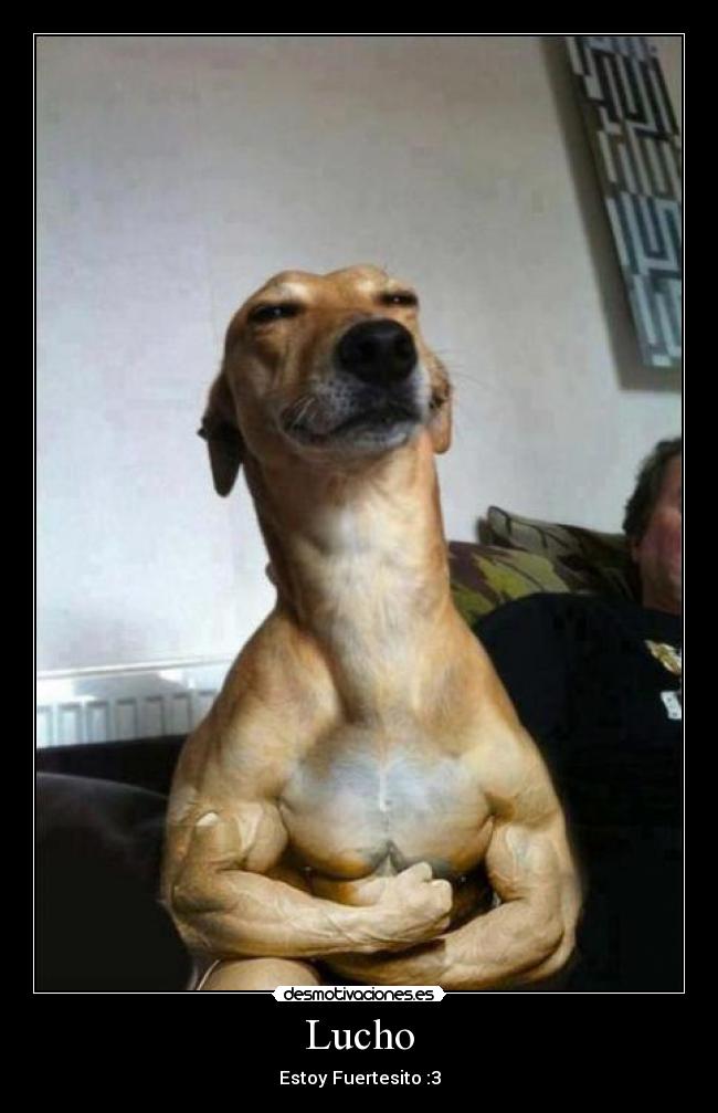 carteles dibujos desmotivaciones