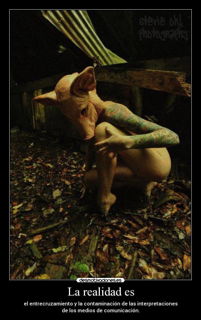 La realidad es - el entrecruzamiento y la contaminación de las interpretaciones
de los medios de comunicación.