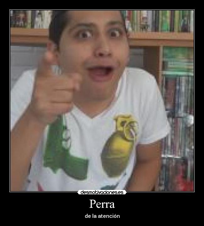 Perra - de la atención