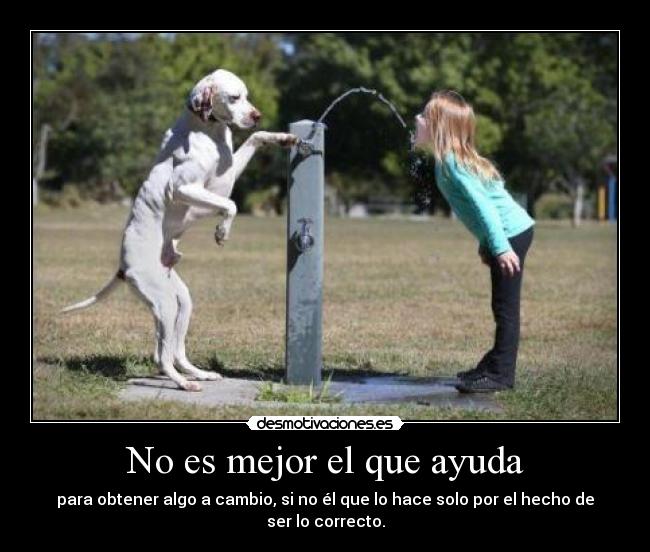 carteles ayuda del perro nina desmotivaciones