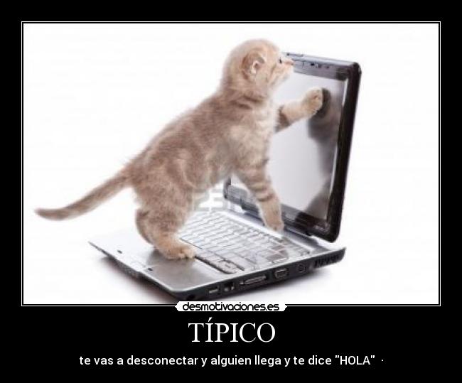TÍPICO - te vas a desconectar y alguien llega y te dice HOLA ♥·