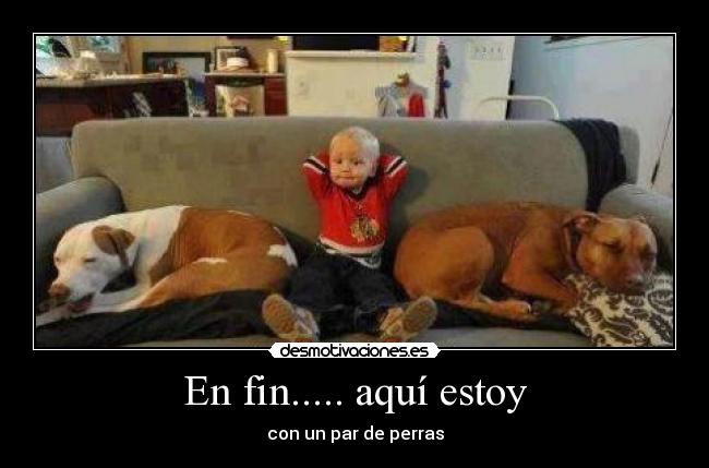 En fin..... aquí estoy - 