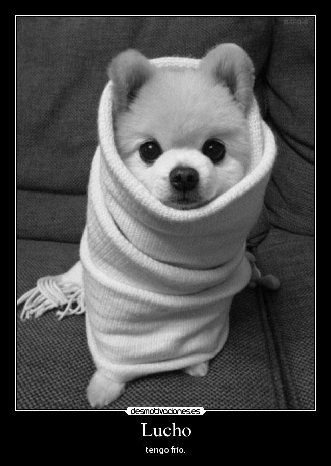 Lucho - tengo frío.