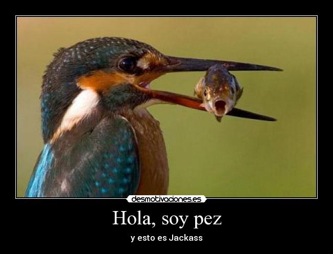 Hola, soy pez - y esto es Jackass
