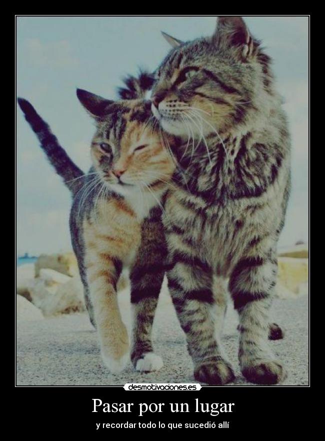 Pasar por un lugar - y recordar todo lo que sucedió allí