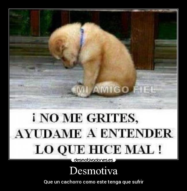 carteles perro desmotivaciones