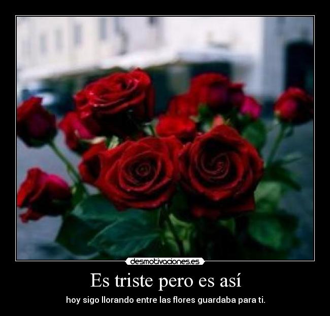 Es triste pero es así - hoy sigo llorando entre las flores guardaba para ti.